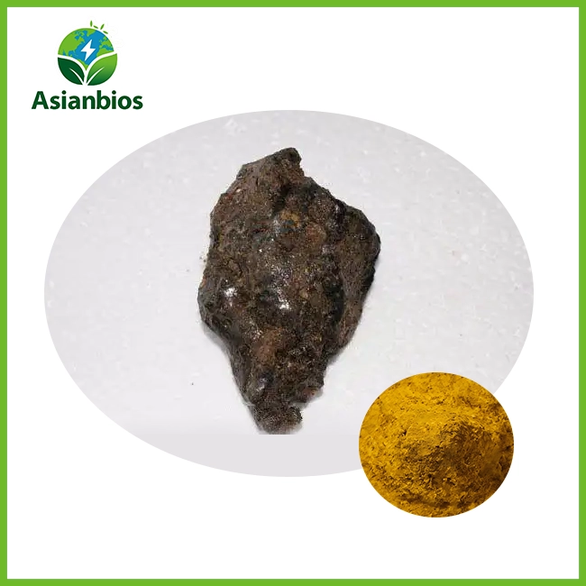 Fulvic Acid Powder Shilajit Extract